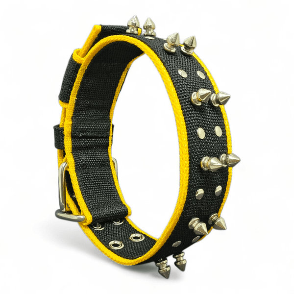 Coleira Amorosso Spike (preto e amarelo)