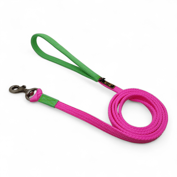 Guia de Passeio Cachorro 80cm Rosa E Verde Flúor