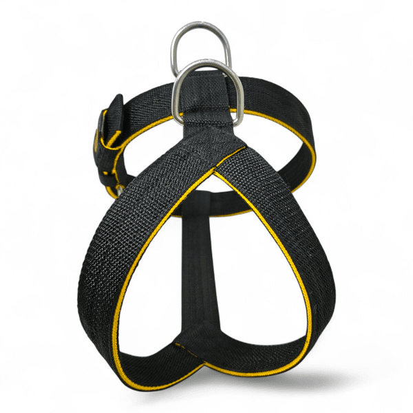 Peitoral Amorosso® Tradicional (preto e amarelo)