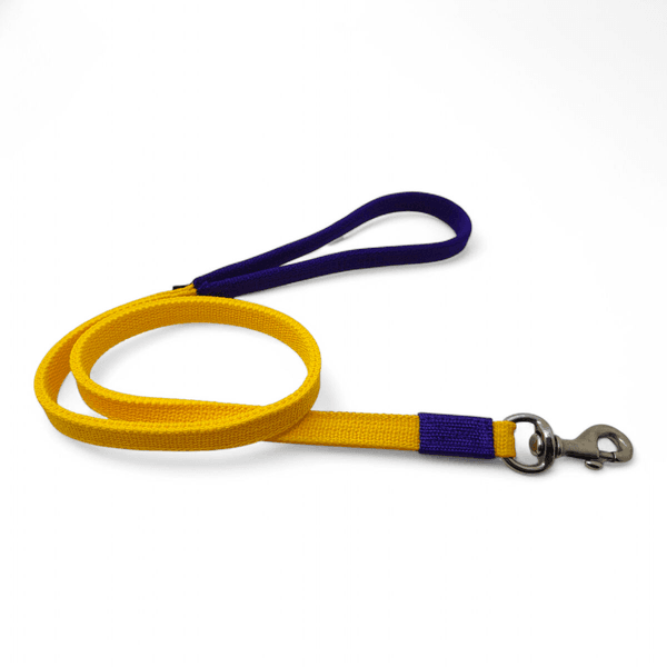 Coleira Para Cachorro Personalizada + Guia de Passeio (Roxo)
