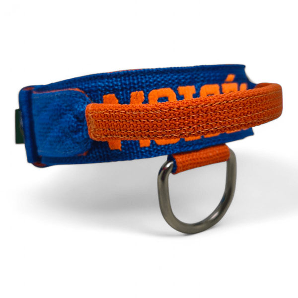 Coleira Poderosso Personalizada Azul e Laranja