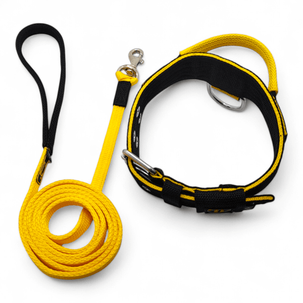 Coleira Para Cachorro Poderosso + Guia Longa 1,80 - Preto e Amarelo