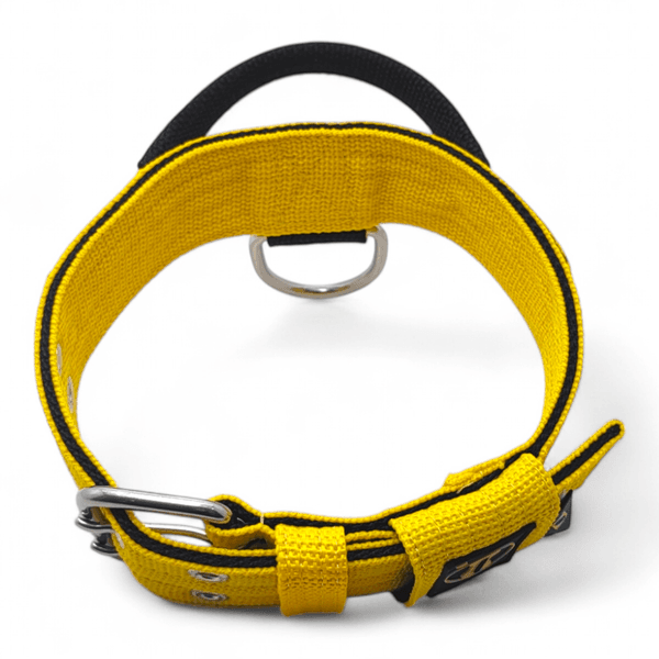 Coleira Para Cachorro Poderosso - Amarelo e Preto
