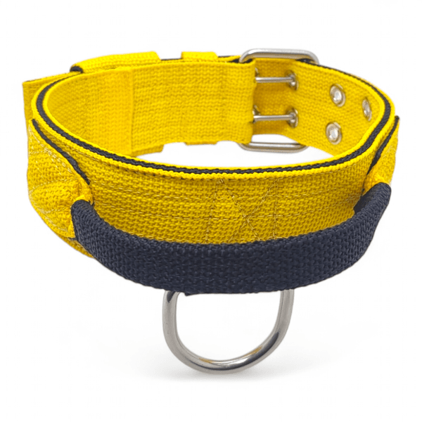 Coleira Para Cachorro Poderosso - Amarelo e Preto