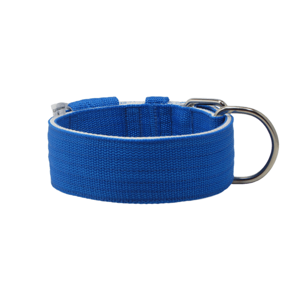 Coleira Para Cachorro Amorosso (azul e branco)