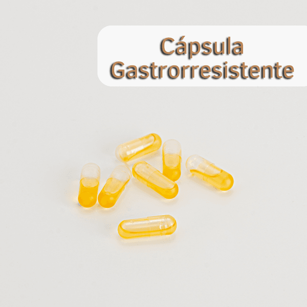 Cápsulas 0 Entéricas Gastrorresistentes Vazias - Incolor Pack c/ 2000