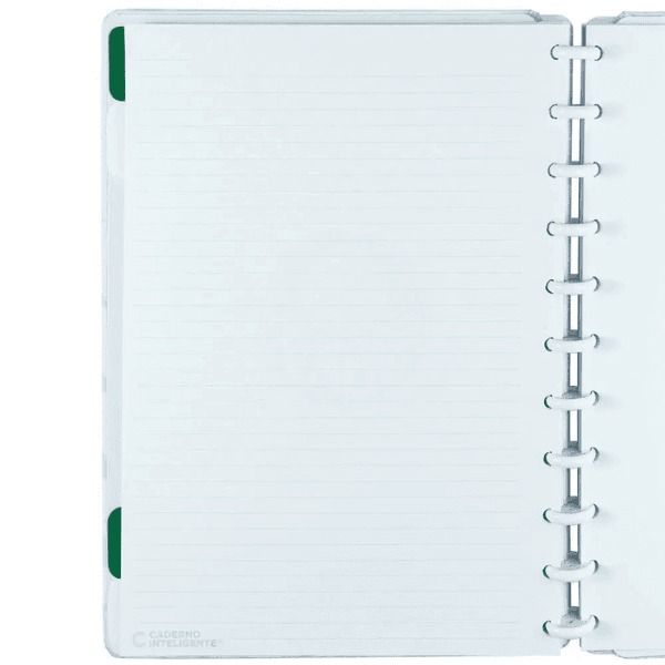 Caderno Universitário Palmeiras 80 Folhas CIGD4142 Caderno Inteligente