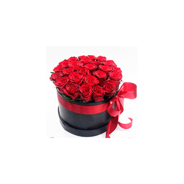 Box Esplendor 20 Rosas maravilhoso