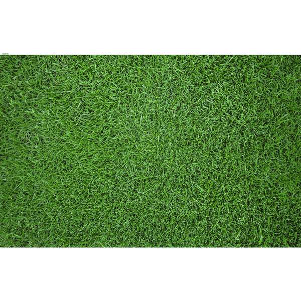 Tapete Decorativo Temático Grama 