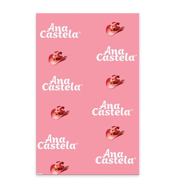 Painel Retangular Decoração de Aniversário Tema Ana Castela Boiadeira