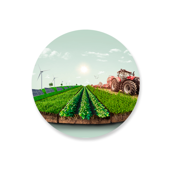 Capa Painel Redondo Decorativo Tema Agro Country Fazendo Decoração