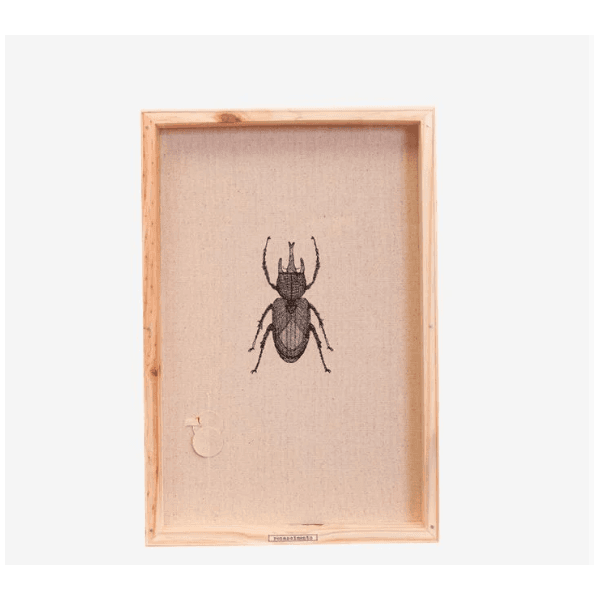 Quadro Box Bordado- Escaravelho