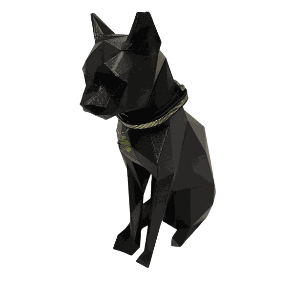 Coleira para gato - brilho Preto