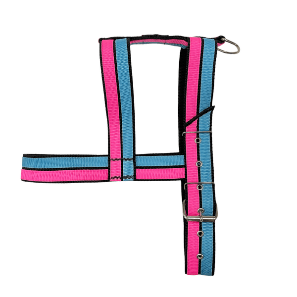 Peitoral Neon Paty 40mm | Dogvix