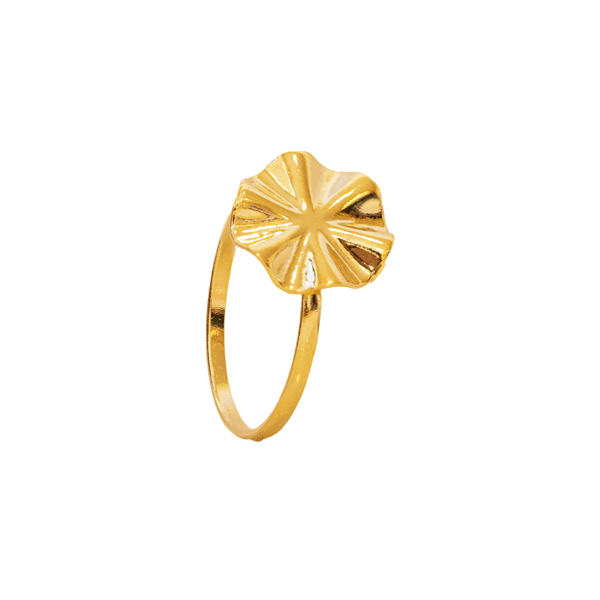 Anel Zie- banho ouro 18k - FOLIATE