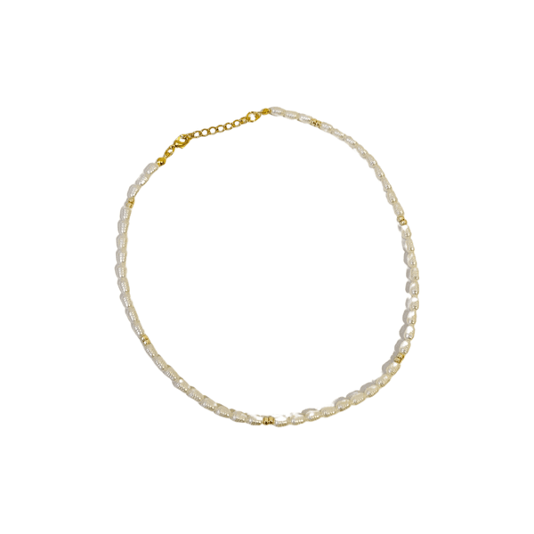 Choker Jeri- banho ouro 18k - FOLIATE