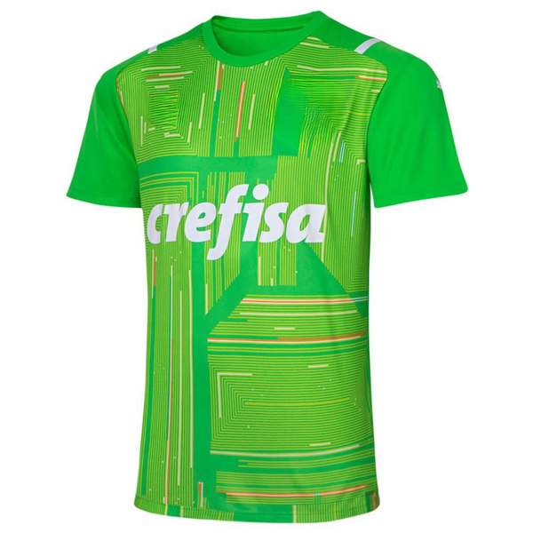 CAMISA MODELO PALMEIRAS GOLEIRO ( Torcedor)