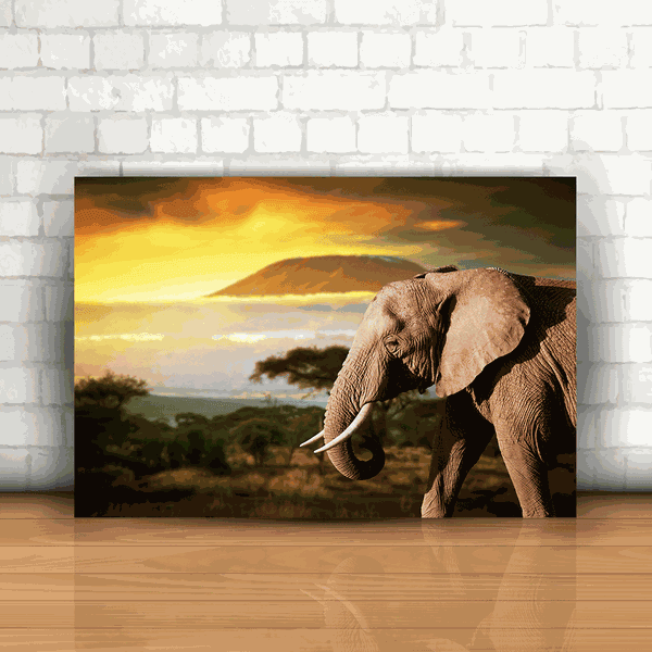 Placa Decorativa - Elefante