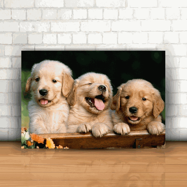 Placa Decorativa - Cachorros