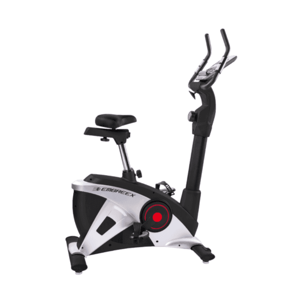 Bicicleta Vertical Embreex 309