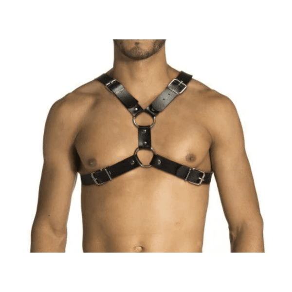 Harness em Formato X
