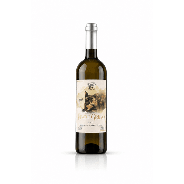 Pinot Grigio 2022 | Vinho Fino Branco Seco - Leone di Venezia