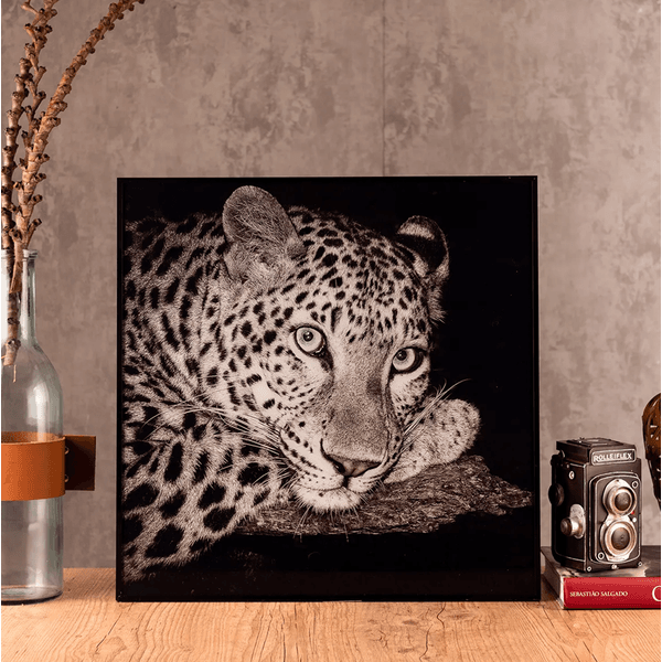 Quadro Onça Wild Africa II 60x60cm