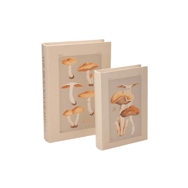 Conjunto de Caixa Livro Canva Fungi Mart P e G