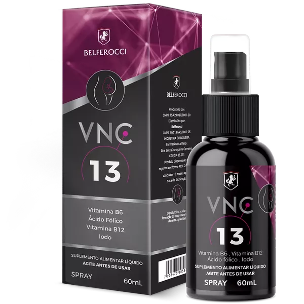 VNC 13