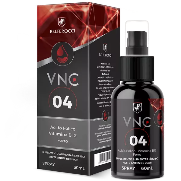 VNC 04
