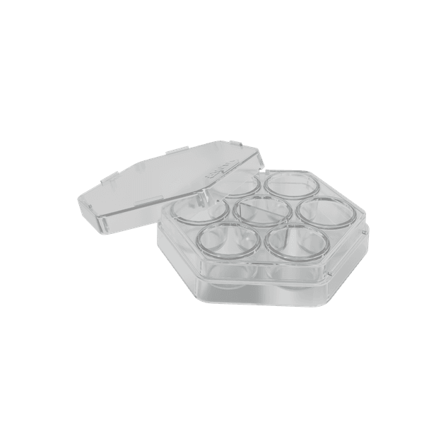 Placa de Cultura Celular com 6 Poços