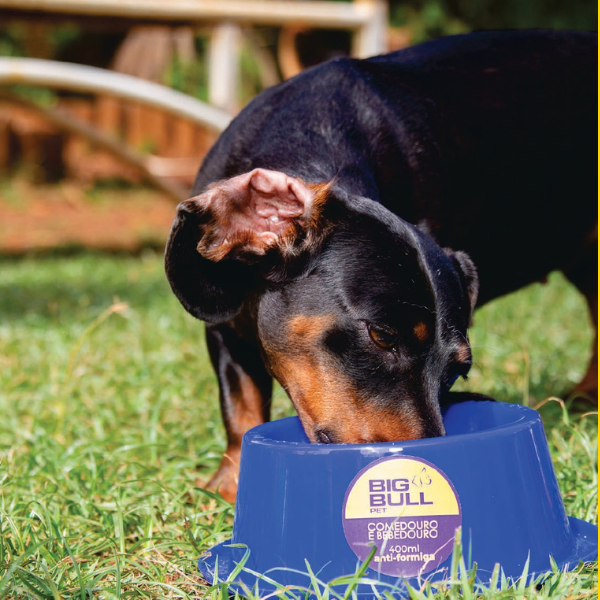 Comedouro Premium anti-formiga 400ml