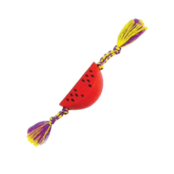 Dental Bone Melancia - Big Bull Pet 