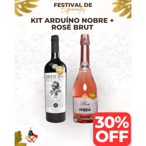 Kit Arduino Nobre + Espumante Rosé Brut