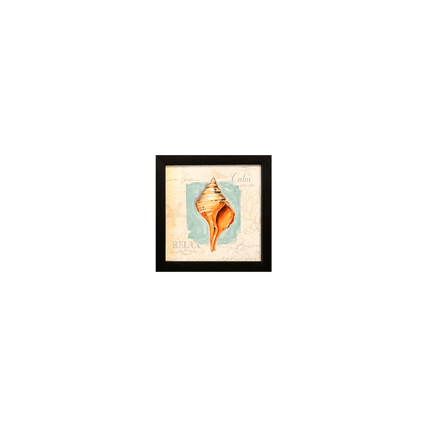 Quadro 20x20 - Conchas