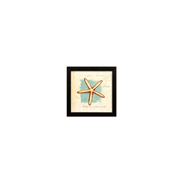 Quadro 20x20 - Conchas