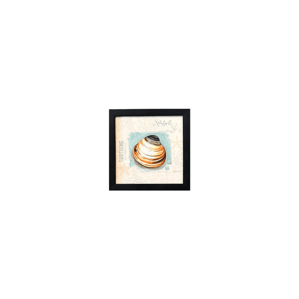 Quadro 20x20 - Conchas