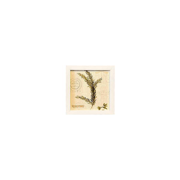 Quadro 20x20 - Folhas