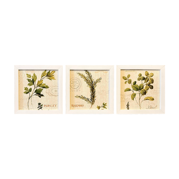 Trio de Quadros 20x20 - Folhas