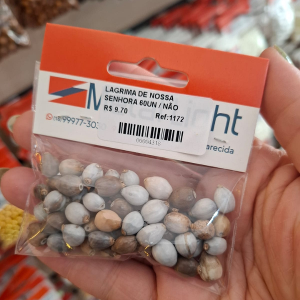 LAGRIMA DE NOSSA SENHORA 60UN 1172 .