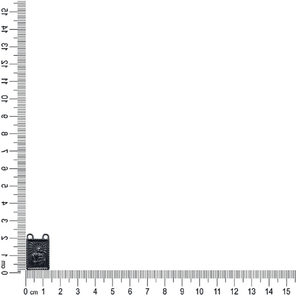 PAR ENTREMEIO ESCAPULÁRIO 2 ARGOLAS M70066 .