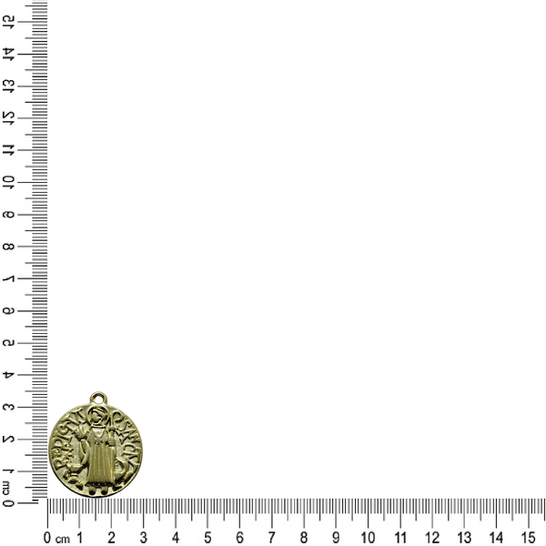 PINGENTE SÃO BENTO RELEVO ML6080 .