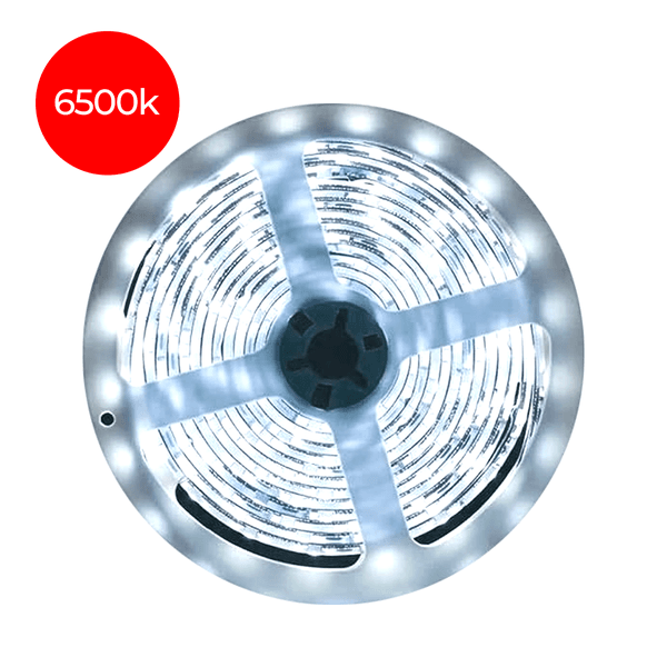 12v led on sale