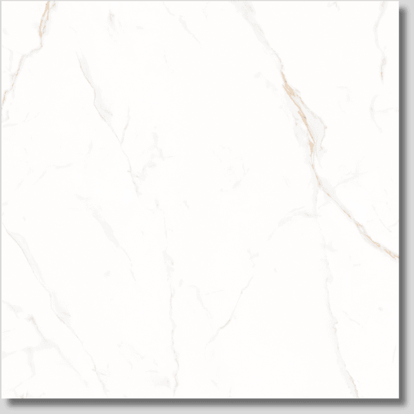 Piso Retificado Polido Marmo Bianco 60X60 A-LW 2,47M² - LUME