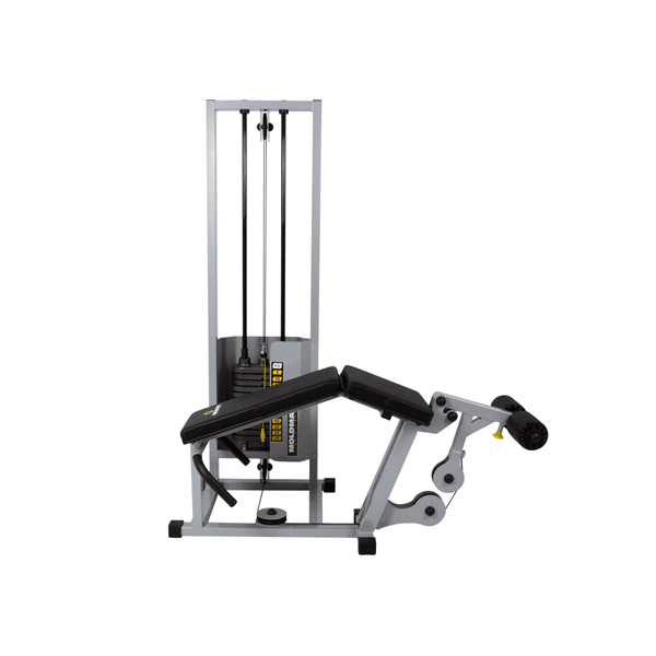 Mesa Flexora  MOLD MAC FITNESS