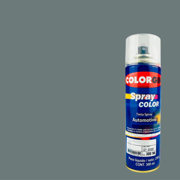 COLORGIN SPRAY AUTOMOTIVO CINZA PLACA 300ML