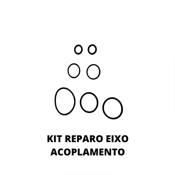 KIT REPARO EIXO ACOPLAMENTO MICROMOTOR SL 30 SAEVO / GNATUS