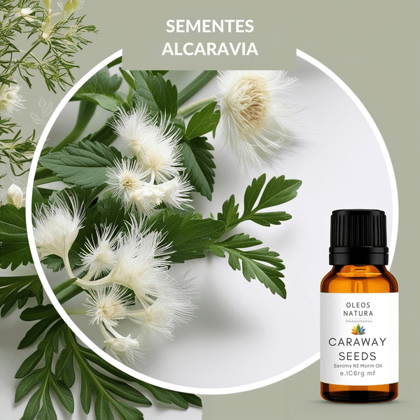 Óleo Essencial AlcarÁvia Sementes - Caraway