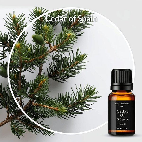 Óleo Essencial CEDRO DA ESPANHA - CEDAR OF SPAIN 50ML