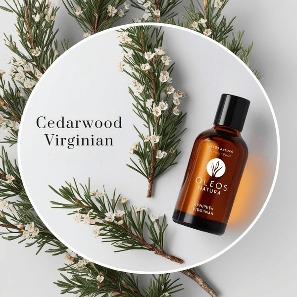 Óleo Essencial Cedro Da VirgÍnia - Cedarwood Virginian